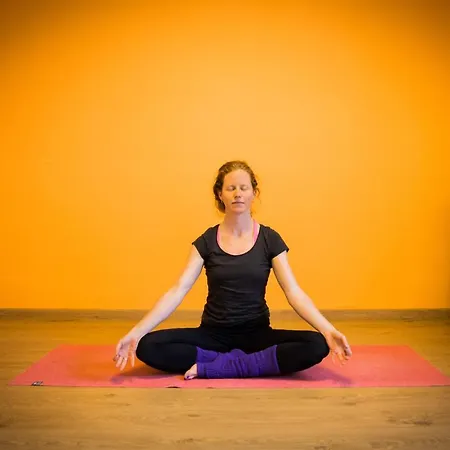 Hostel Solfe Backpacker *