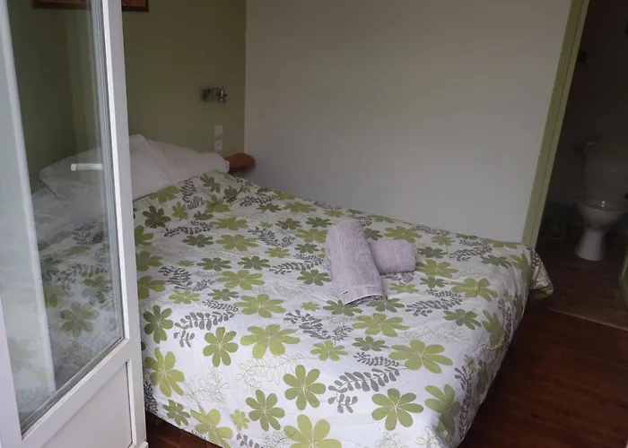 Hostel Solfe Backpacker *